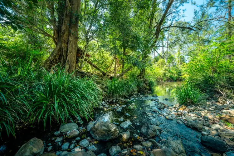 Third view of Homely house listing, 284 Gordonville Road, Bellingen NSW 2454