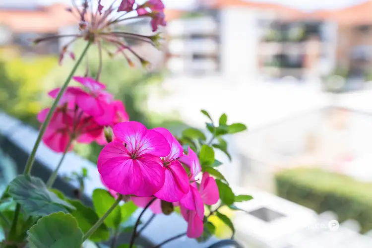 Sixth view of Homely apartment listing, 15/145 Sydney Street, New Farm QLD 4005