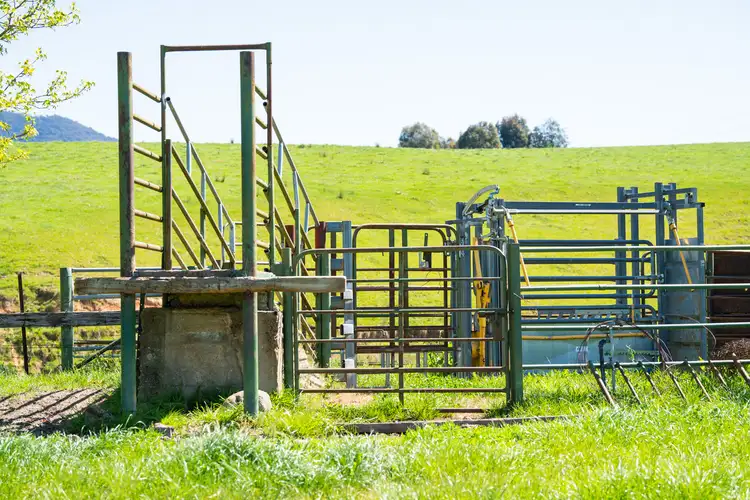 Fourth view of Homely rural property listing, Speers Lane, Dederang VIC 3691
