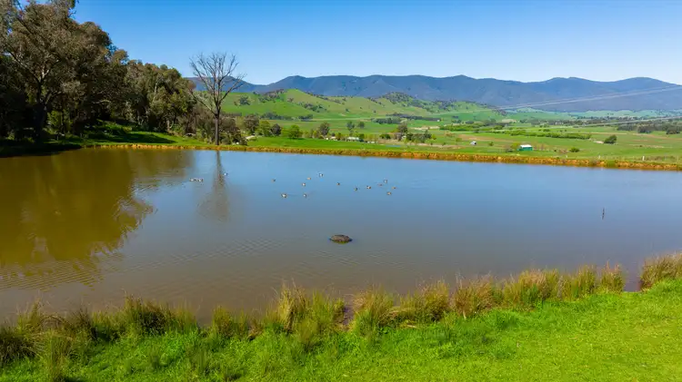 Fifth view of Homely rural property listing, Speers Lane, Dederang VIC 3691