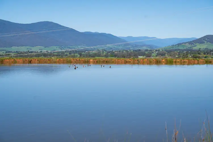 Sixth view of Homely rural property listing, Speers Lane, Dederang VIC 3691