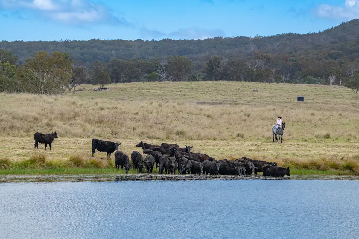Main view of Homely rural property listing, 2792 Old Stanthorpe Road, Dalveen QLD 4374
