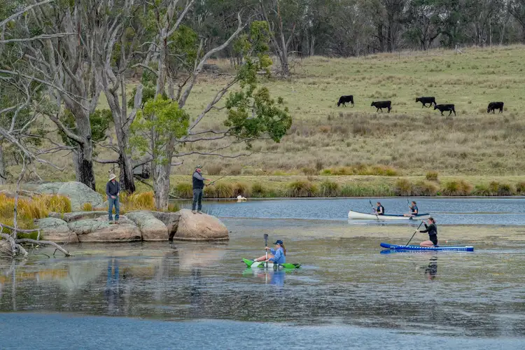 Third view of Homely rural property listing, 2792 Old Stanthorpe Road, Dalveen QLD 4374