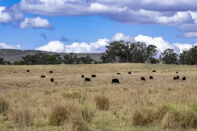 Fourth view of Homely rural property listing, 2792 Old Stanthorpe Road, Dalveen QLD 4374