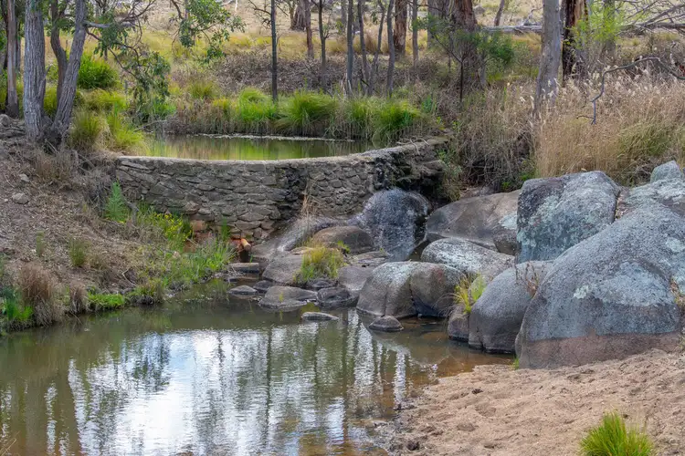 Seventh view of Homely rural property listing, 2792 Old Stanthorpe Road, Dalveen QLD 4374