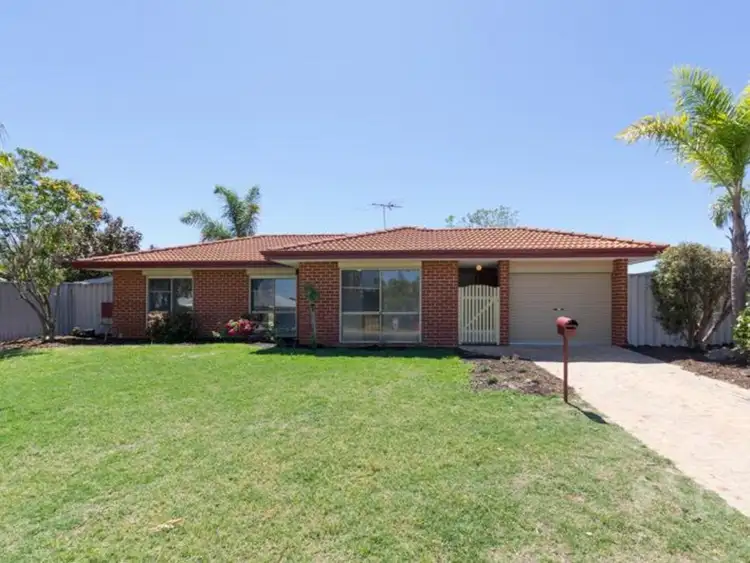 Main view of Homely house listing, 3 Freyler Court, Alexander Heights WA 6064