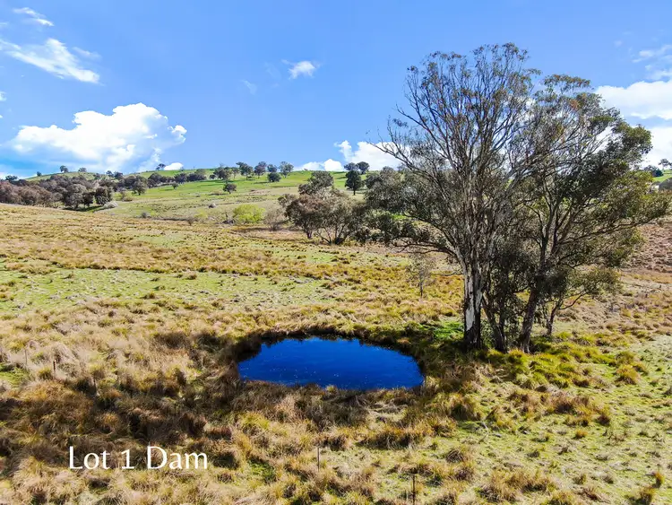 Third view of Homely land listing, LOT 1 Hearn Street, Bigga NSW 2583