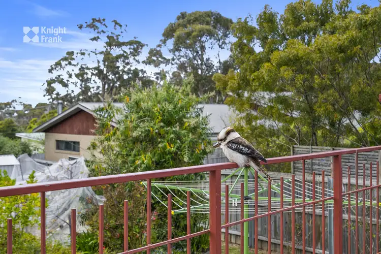 Fifth view of Homely house listing, 477 Nelson Road, Mount Nelson TAS 7007