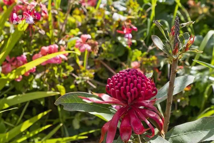 Sixth view of Homely house listing, 477 Nelson Road, Mount Nelson TAS 7007