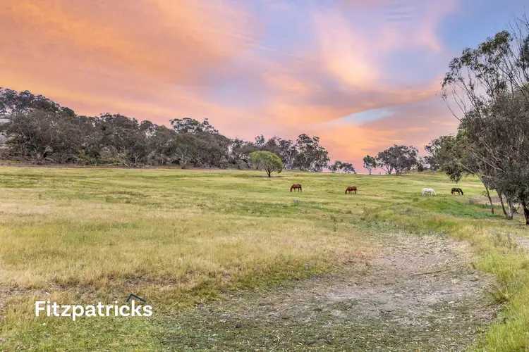Second view of Homely house listing, 6361 Holbrook Road, Gelston Park NSW 2650