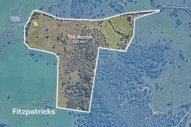 Third view of Homely house listing, 6361 Holbrook Road, Gelston Park NSW 2650