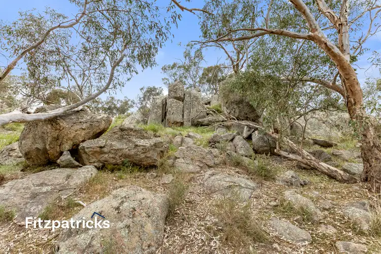 Fifth view of Homely house listing, 6361 Holbrook Road, Gelston Park NSW 2650