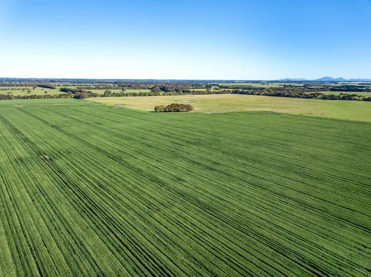 Main view of Homely rural property listing, 3628 Hamilton Highway, Caramut VIC 3274