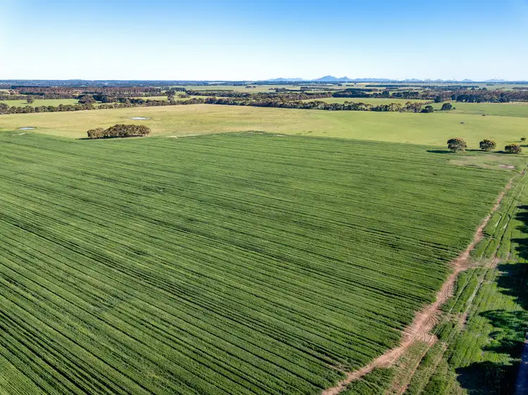 Fourth view of Homely rural property listing, 3628 Hamilton Highway, Caramut VIC 3274