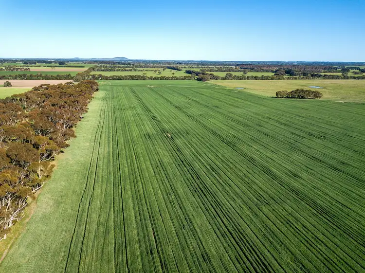 Fifth view of Homely rural property listing, 3628 Hamilton Highway, Caramut VIC 3274