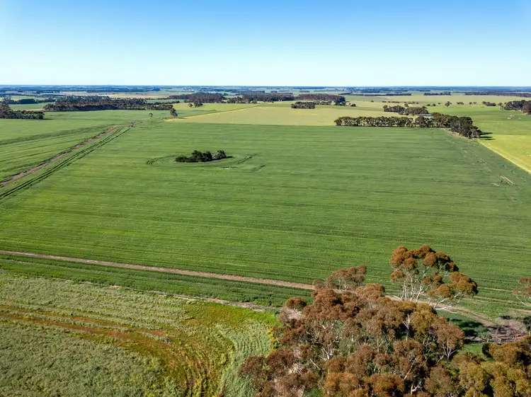 Sixth view of Homely rural property listing, 3628 Hamilton Highway, Caramut VIC 3274