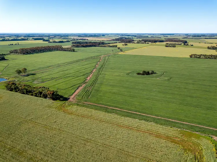 Seventh view of Homely rural property listing, 3628 Hamilton Highway, Caramut VIC 3274