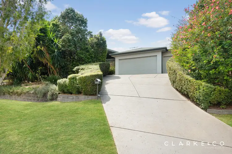 Fifth view of Homely house listing, 19 Amber Grove, Bolwarra Heights NSW 2320