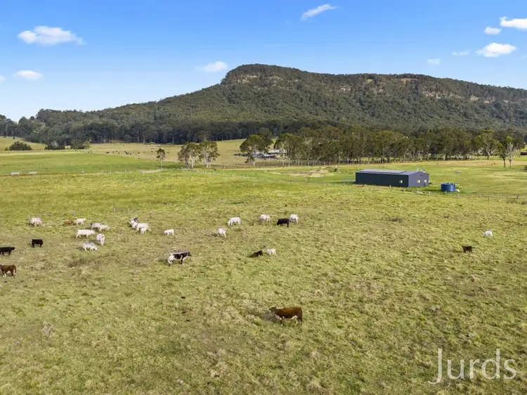 Main view of Homely rural property listing, 244 Whitings Lane, Quorrobolong NSW 2325