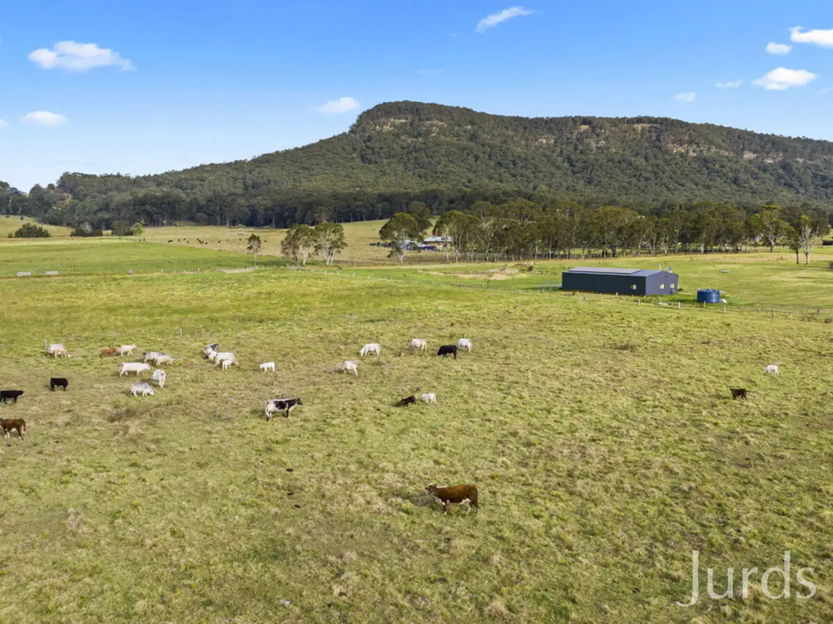 Main view of Homely rural property listing, 244 Whitings Lane, Quorrobolong NSW 2325