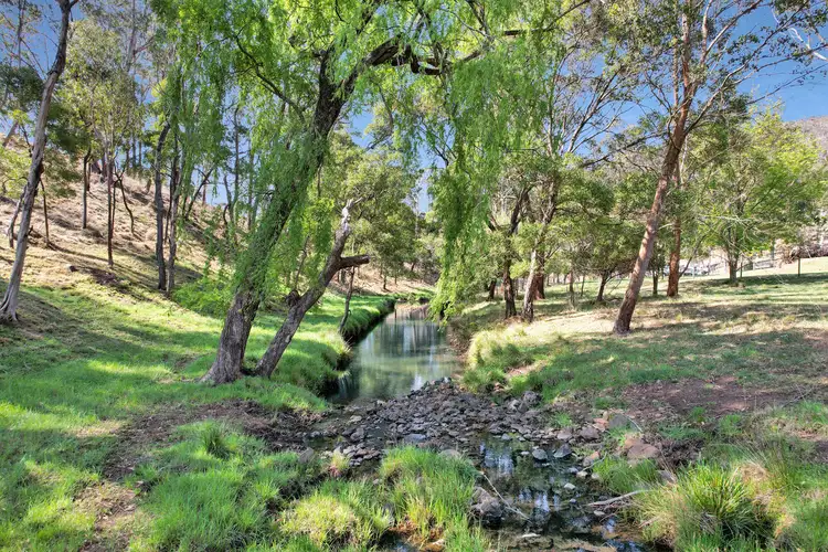 Fifth view of Homely rural property listing, 866 Nethercote Road, Nethercote NSW 2549