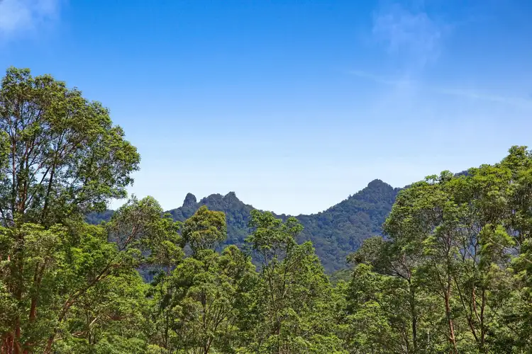 Fifth view of Homely land listing, 16 Araluen Road, Tallebudgera Valley QLD 4228
