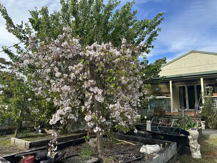 Fifth view of Homely house listing, 102 Chauvel Road, Kendenup WA 6323