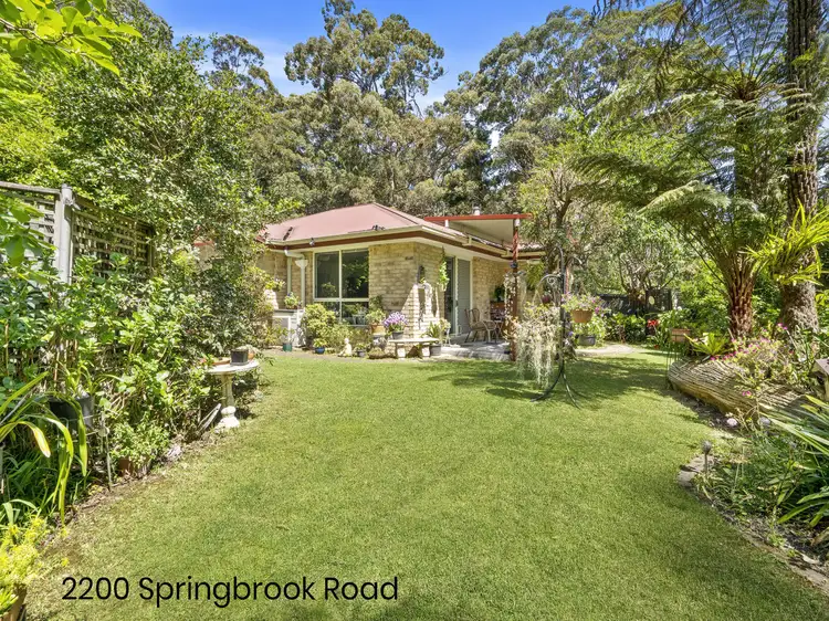 Main view of Homely house listing, 2200 Springbrook Road, Springbrook QLD 4213