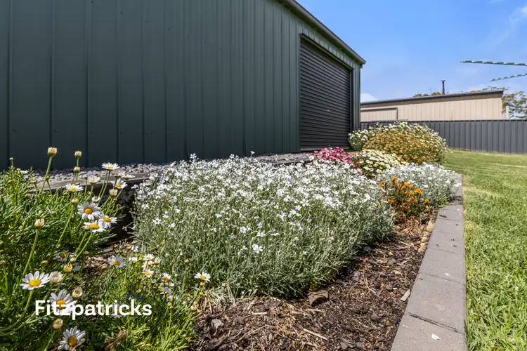 Sixth view of Homely house listing, 3 Nixon Crescent, Tolland NSW 2650