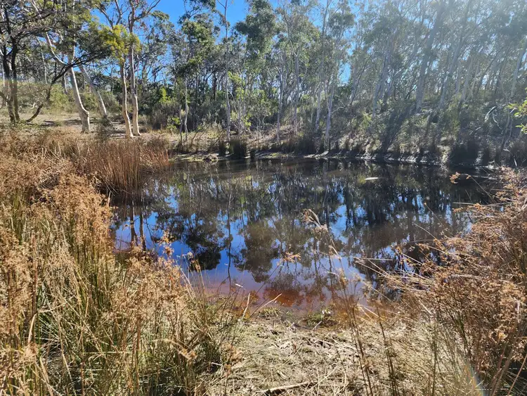Sixth view of Homely rural property listing, 80 Creek Close, Oallen NSW 2622