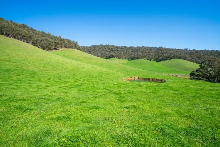 Sixth view of Homely rural property listing, Omeo Highway, Eskdale VIC 3701