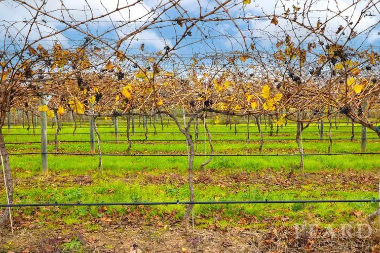 Fifth view of Homely land listing, LOT 9 De Burgh Road, Caversham WA 6055