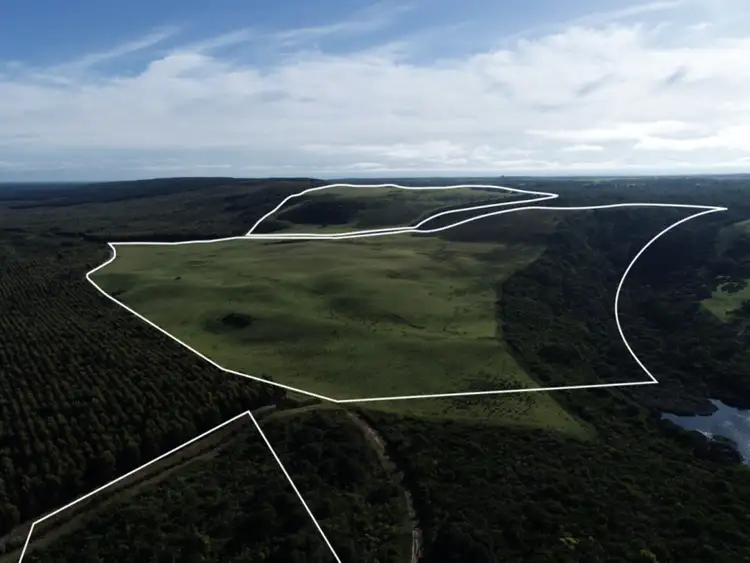 Third view of Homely rural property listing, LOT 1 Portland-Nelson Road, Mount Richmond VIC 3305