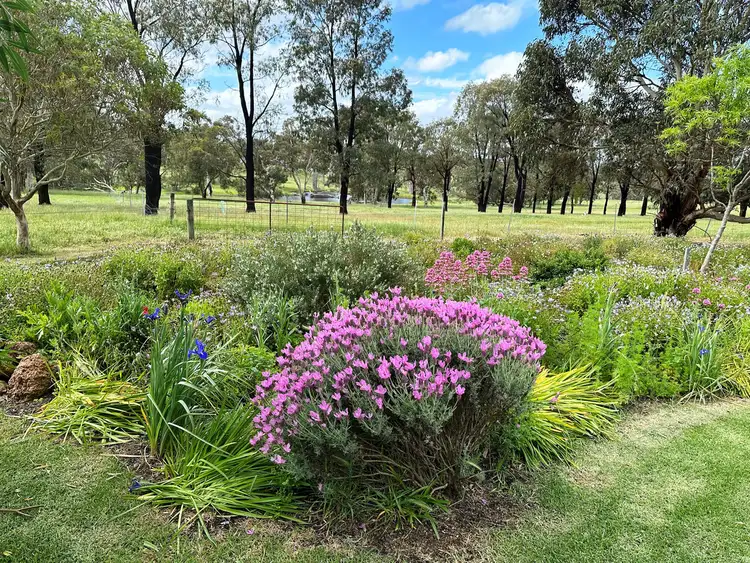 Sixth view of Homely rural property listing, 50 Haig Road, Kendenup WA 6323