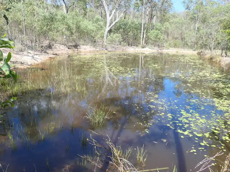 241 Bruxner Road, Drake NSW 2469