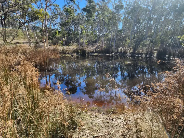 Fifth view of Homely rural property listing, 80 Creek Close, Oallen NSW 2622