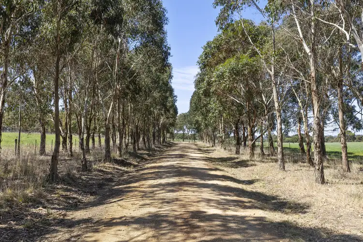 Second view of Homely rural property listing, 575 Willowite Road, Freshwater Creek VIC 3217
