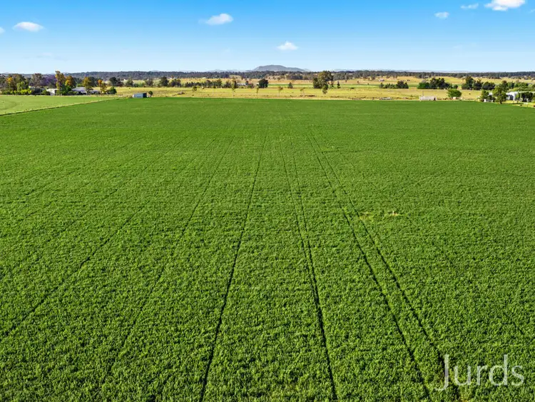 Third view of Homely rural property listing, 21 Neotsfield Lane, Whittingham NSW 2330