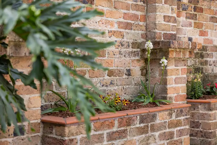Sixth view of Homely terrace listing, 532 Elizabeth Street, Redfern NSW 2016