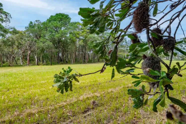 Main view of Homely land listing, 25 Goldsmith Road, Somersby NSW 2250
