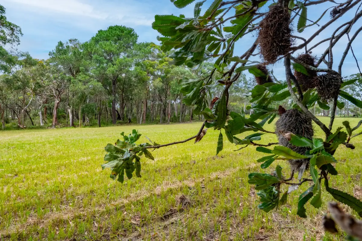 Main view of Homely land listing, 25 Goldsmith Road, Somersby NSW 2250