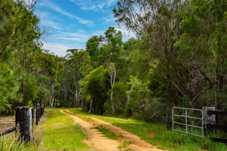 Sixth view of Homely land listing, 25 Goldsmith Road, Somersby NSW 2250