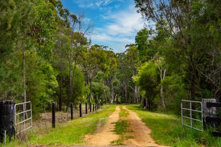 Seventh view of Homely land listing, 25 Goldsmith Road, Somersby NSW 2250
