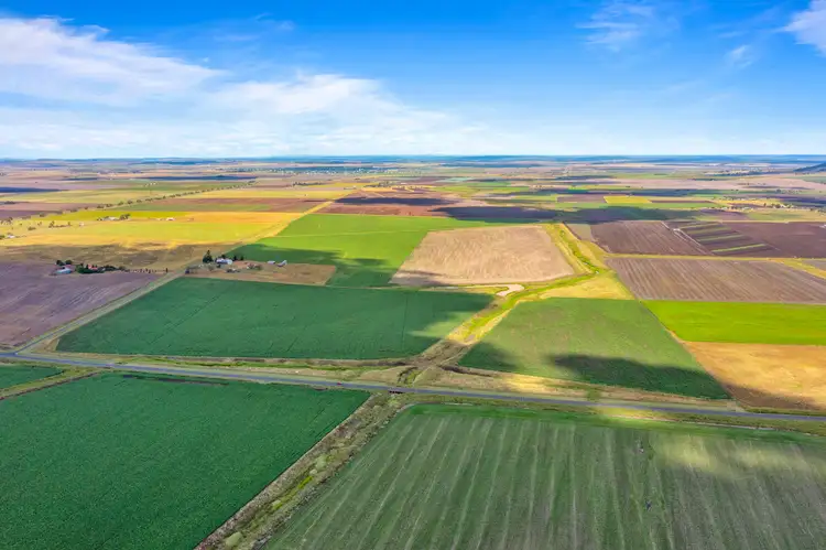 Third view of Homely rural property listing, 365 Rickert Road, Nobby QLD 4360