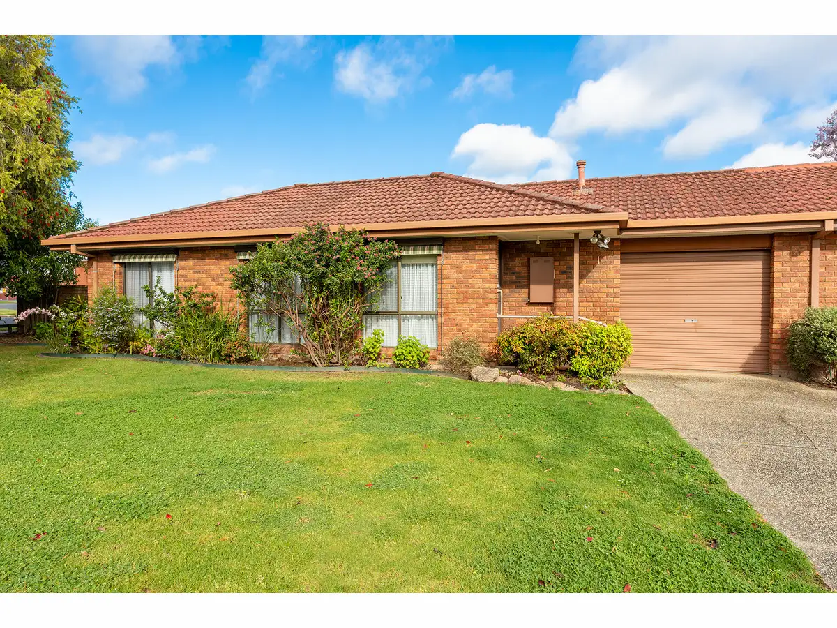 Main view of Homely unit listing, 1/11 Wodonga Street, Wodonga VIC 3690