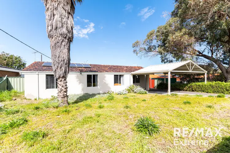 Fourth view of Homely house listing, 16 Mayflower Crescent, Craigie WA 6025