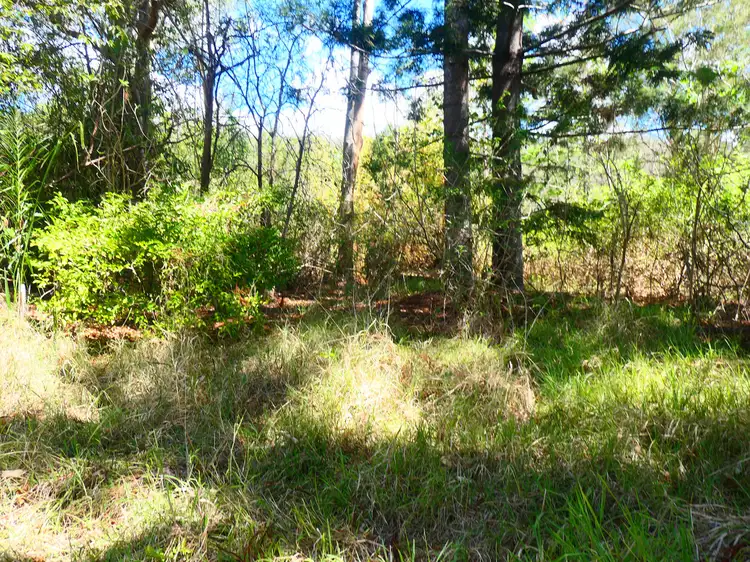 Fourth view of Homely rural property listing, 5663 Bruxner Highway, Mummulgum NSW 2469