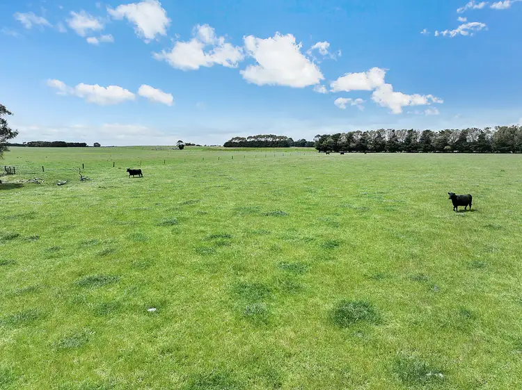 Third view of Homely rural property listing, 4540 Princes Highway, Birregurra VIC 3242