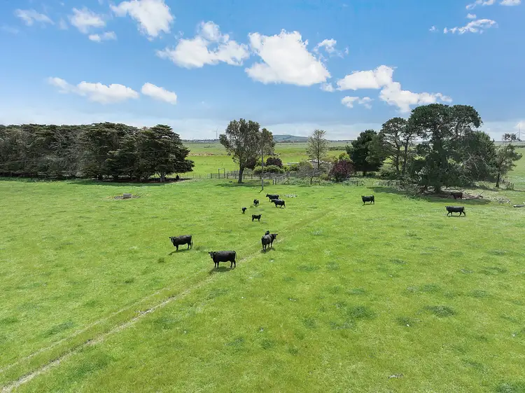 Fourth view of Homely rural property listing, 4540 Princes Highway, Birregurra VIC 3242