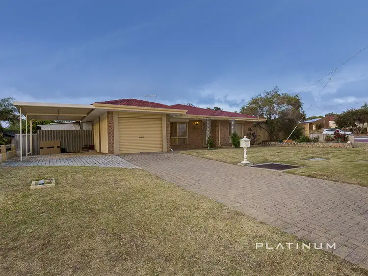Main view of Homely house listing, 99 Craigie Drive, Beldon WA 6027